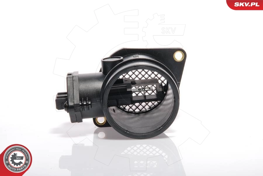 Mass Air Flow Sensor